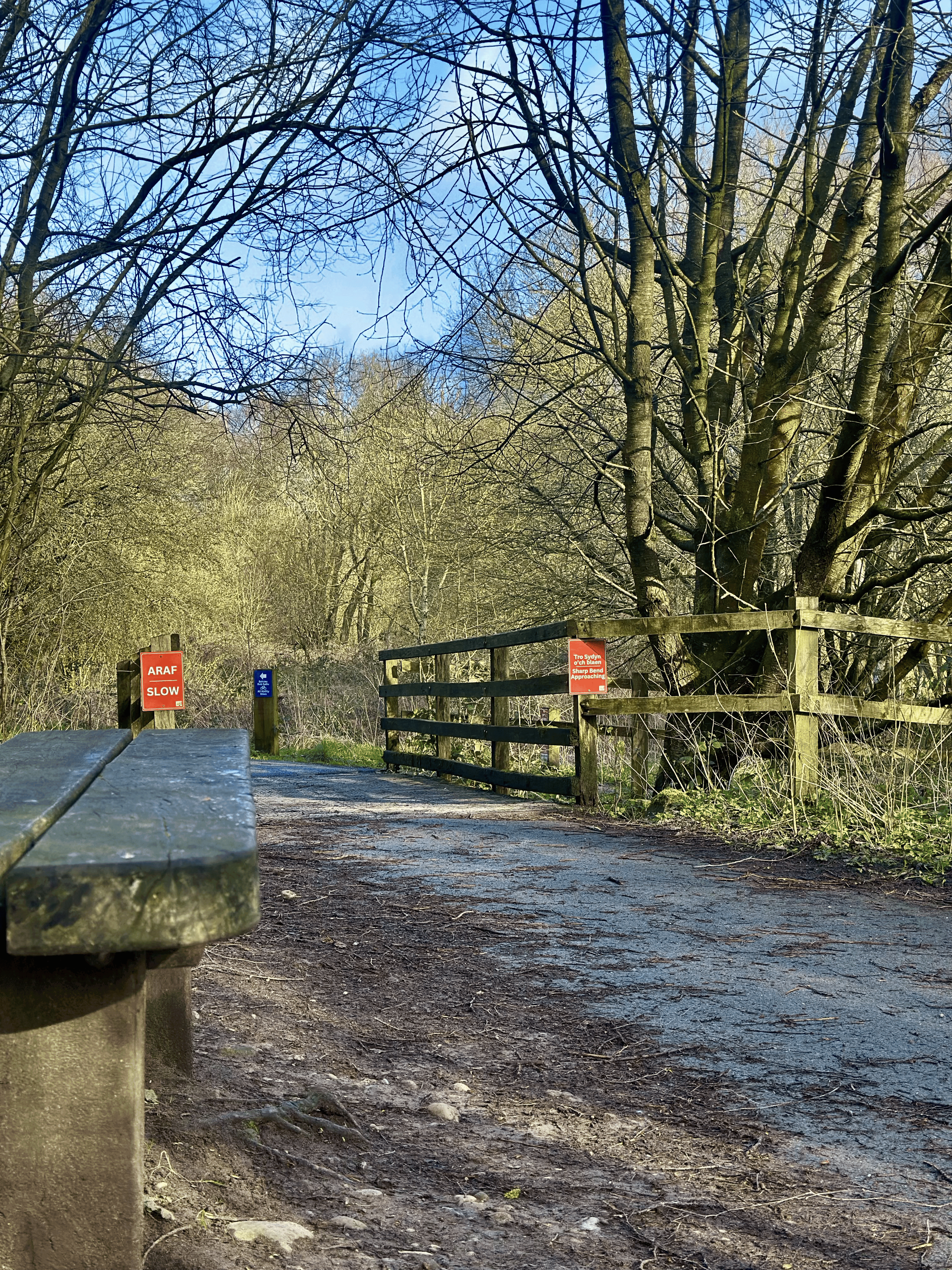 Cycling4All community ride along a tree-lined path at Alyn Waters